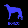 BORZOI