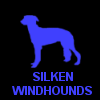 SILKEN WINDHOUNDS